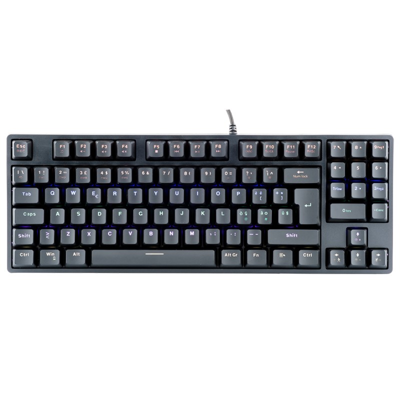TASTIERA ITEK GAMING "X50" MECCANICA, SWITCH BLU OUTEMU RGB, SOFTWARE, 90 TASTI, COMPATTA