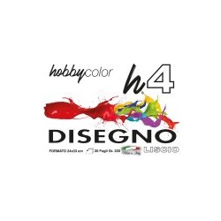 BLOCCO H4 24X33 20F RUVIDO