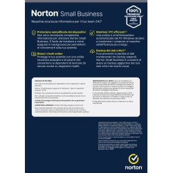 NORTON SMALL BUSINESS 250GB IT 1USER 6 DEVICES 12 MESI
